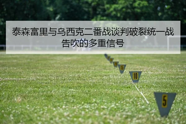 tai-sen-fu-li-yu-wu-xi-ke-er-fan-zhan-tan-pan-po-lie-tong-yi-zhan-gao-chui-de-duo-zhong-xin-hao-2-526.jpg