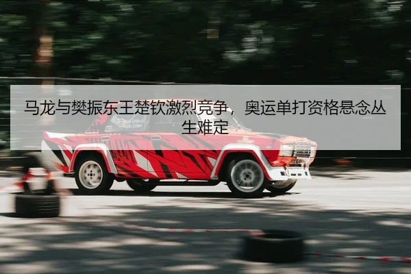 ma-long-yu-fan-zhen-dong-wang-chu-qin-ji-lie-jing-zheng-ao-yun-dan-da-zi-ge-xuan-nian-cong-sheng-nan-ding-2-387.jpg